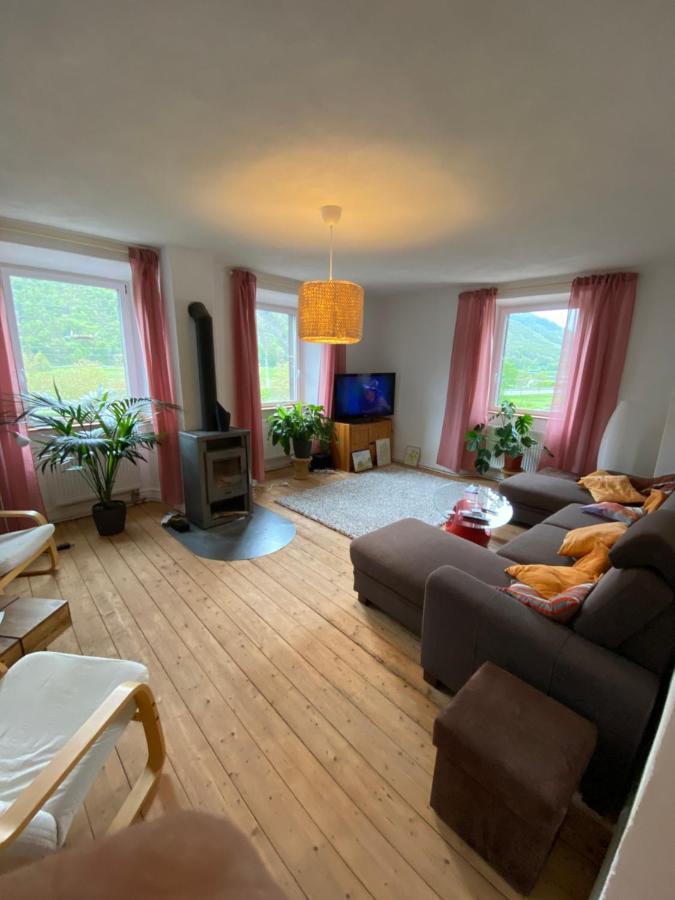 MüdenHelles, Gemuetliches Haus Mit Moselblick别墅 外观 照片